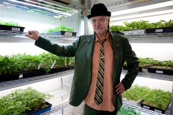 Stephen DeAngelo, founder of Harborside Health Center, stands in the dispensary's marijuana nursery in Oakland, Calif., on July 30, 2010. Though IRS officials won't confirm it, Harborside has been subjected to a months-long audit, says D'Angelo, one of the most recognizable faces in the state's medical marijuana industry with his trademark fedora and braids.